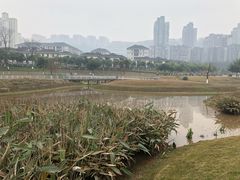 -沐仙湖湿地公园