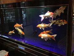 -金饭碗家宴(中兴路店)