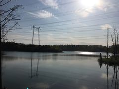 景点-昆山城市生态森林公园