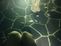 -海兰云天度假区温泉