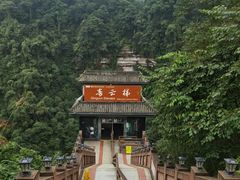 -碧峰峡风景区
