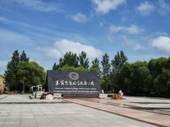 -嘉荫恐龙国家地质公园