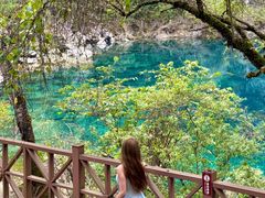 -叠溪松坪沟景区
