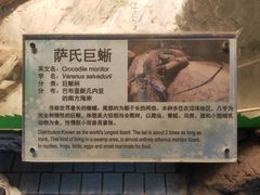 景点-上海大自然野生昆虫馆
