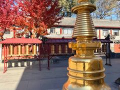 -护国法轮寺