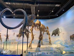 -辽宁古生物博物馆