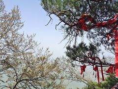 -秦岭天竺山景区