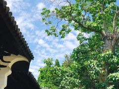-苏州文庙(姑苏区)