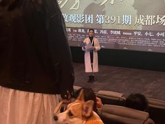 -龙湖成都上城天街