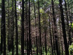 -白草畔自然风景区