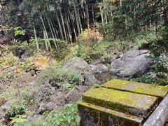 -藏龙百瀑风景区