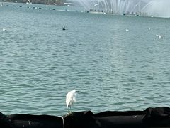 -蠡湖大桥公园