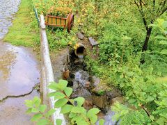 -香炉山国家森林公园