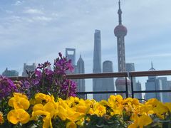 -北外滩滨江绿地