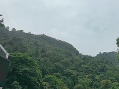 -黔灵山公园