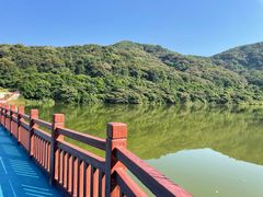 -黄埔油麻山森林公园