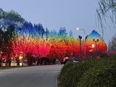 -朝阳公园游乐园