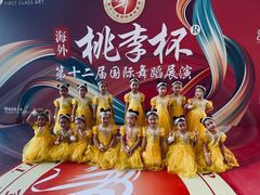 -舞蕾舞蹈(特长生校区)