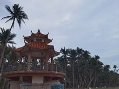 -东郊椰林