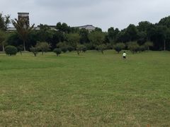 -华东政法大学(松江校区)