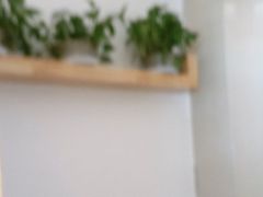 -金塔傣乡·云南民族特色菜·傣味手抓饭(金瓦路店)