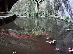 -南国桃园旅游度假区