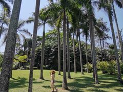 -中国科学院西双版纳热带植物园