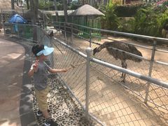 -三亚亚龙湾天域度假酒店