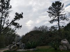 -菊花台公园