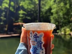 -牛背梁国家森林公园