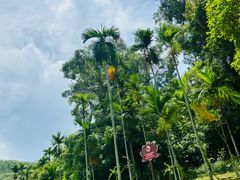 -三亚南山文化旅游区