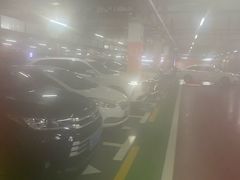 -野狸岛