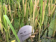 -活水公园