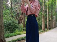-东平国家森林公园