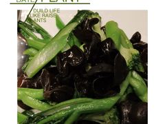 -深圳维景酒店-维景轩