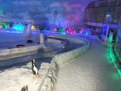 -世界之窗阿尔卑斯冰雪世界