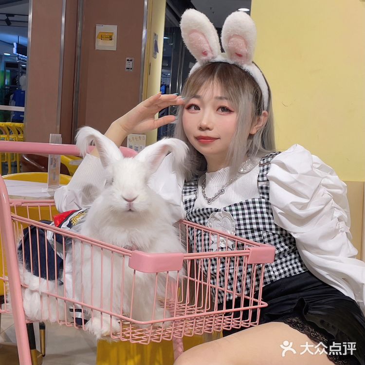郑州探店｜Nice to meet U🐰爱玩萌兔体验馆