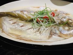 清蒸白鱼-吴越荣记苏州菜·松鼠桂鱼(月光码头店)