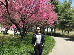 -白塘生态植物园