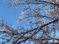 -海合安武汉极地海洋公园