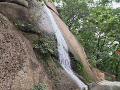 -六里坪国家森林公园