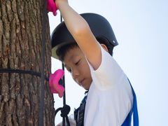 -前小桔亲子创意农场·草莓采摘·露营烧烤