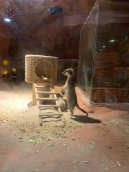 -酷嗒动物文化乐园(cutezoo西溪乐天城店)