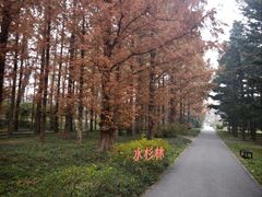 -国家植物园南园