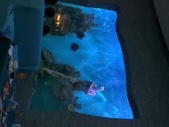 -瑞德姆美人鱼海底演艺主题餐厅(亚龙湾店)