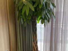 -高老庄新家宴(北斗星广场店)