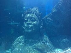 -暹罗海洋世界