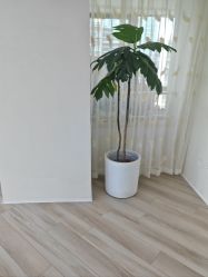 -HEYAN荷妍专业脱毛连锁机构