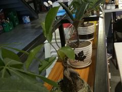 -蛙鱼道美蛙鱼自助火锅(新耍都店)