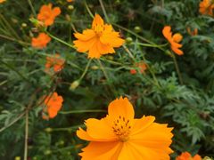 -白鹭湾湿地公园